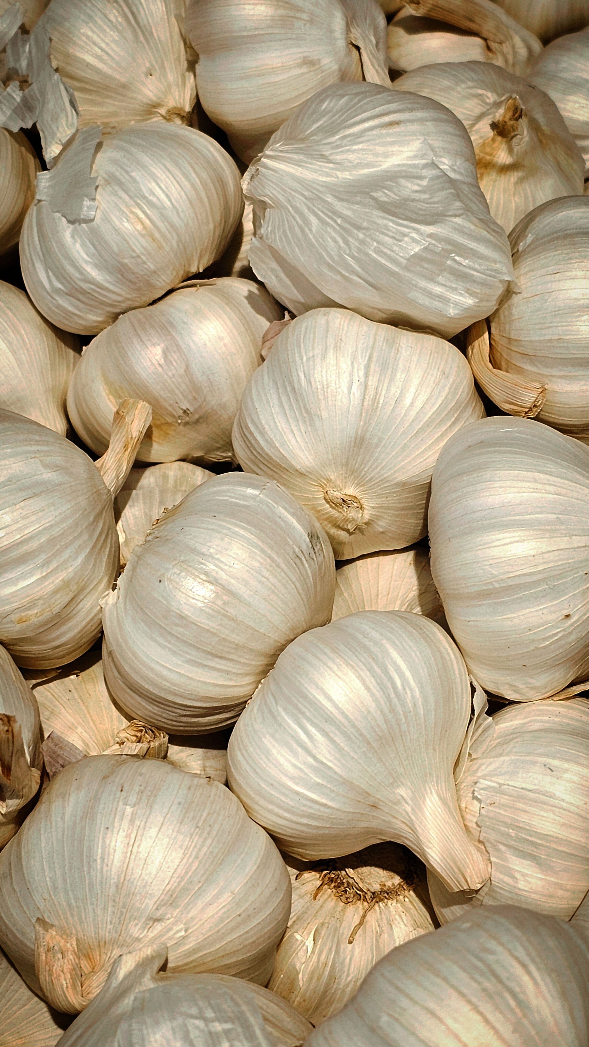 Ajo blanco