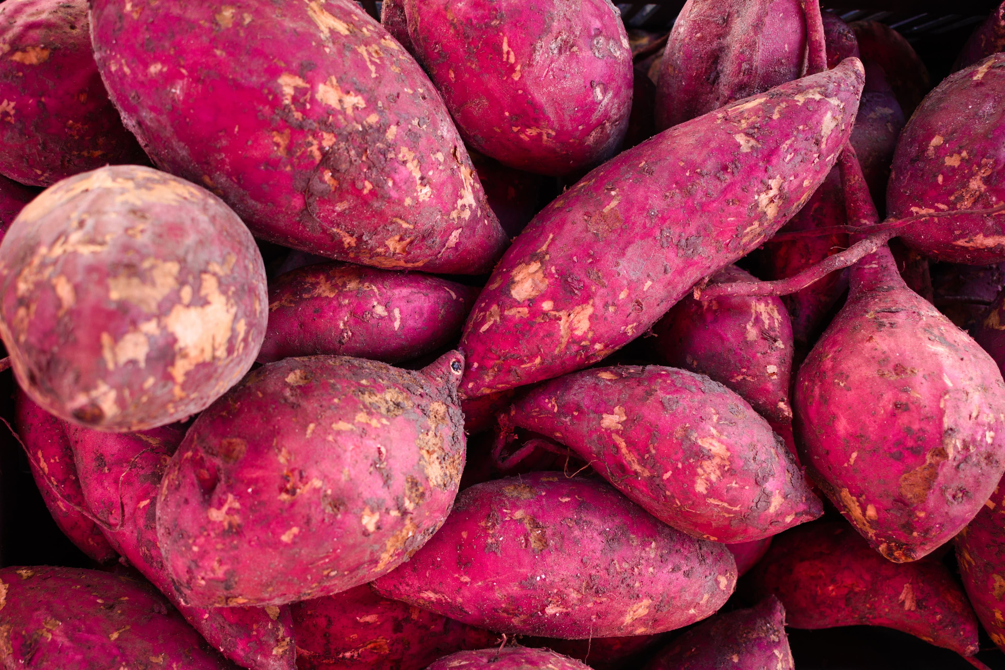 Batata