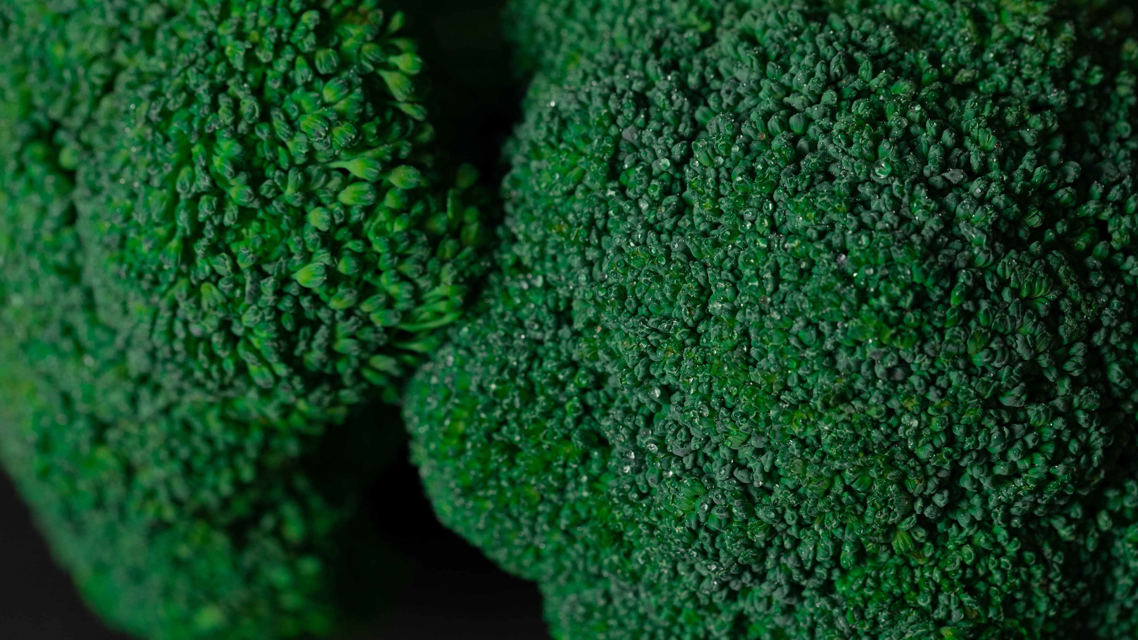 Brócoli