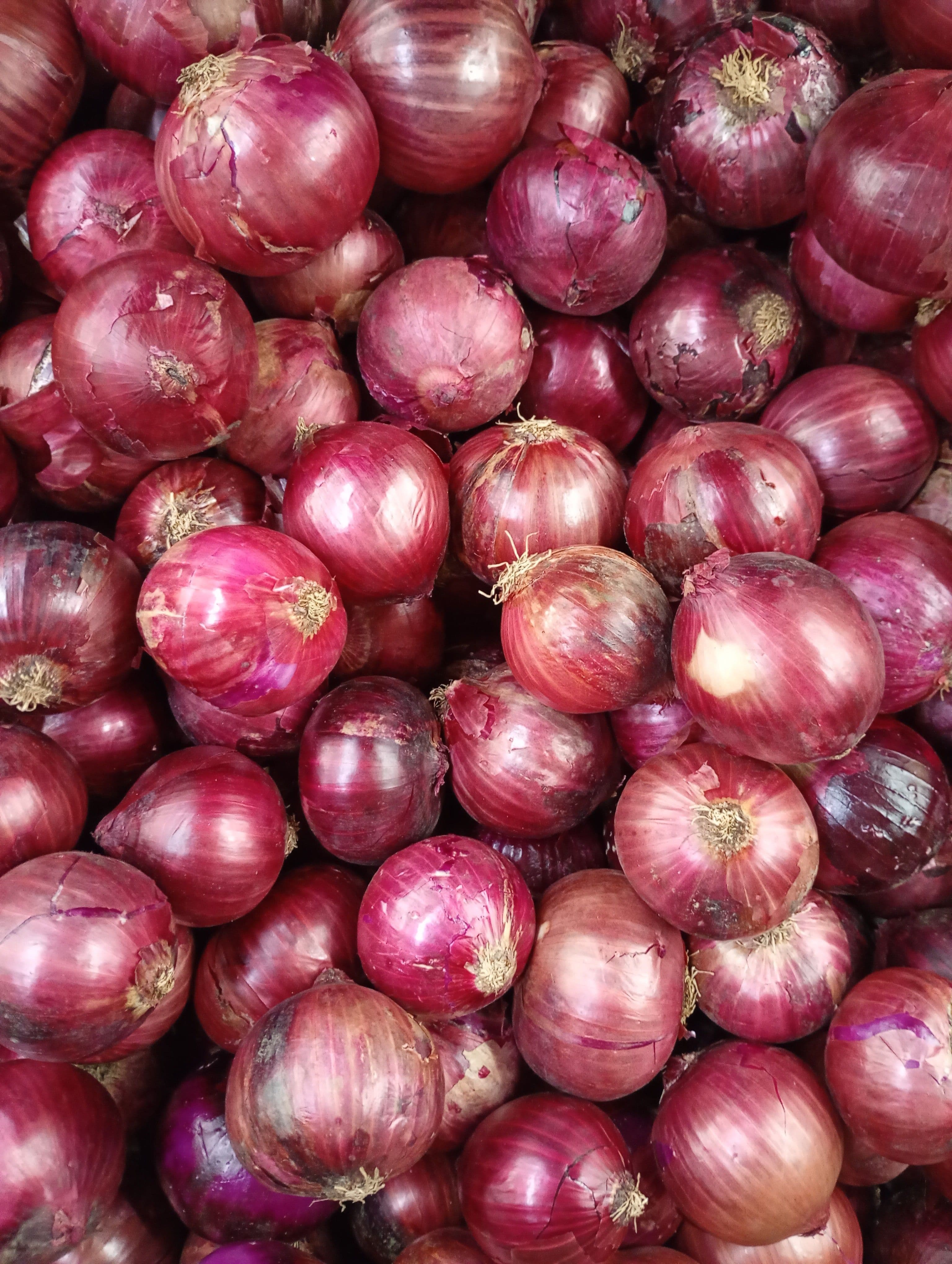 Cebolla morada