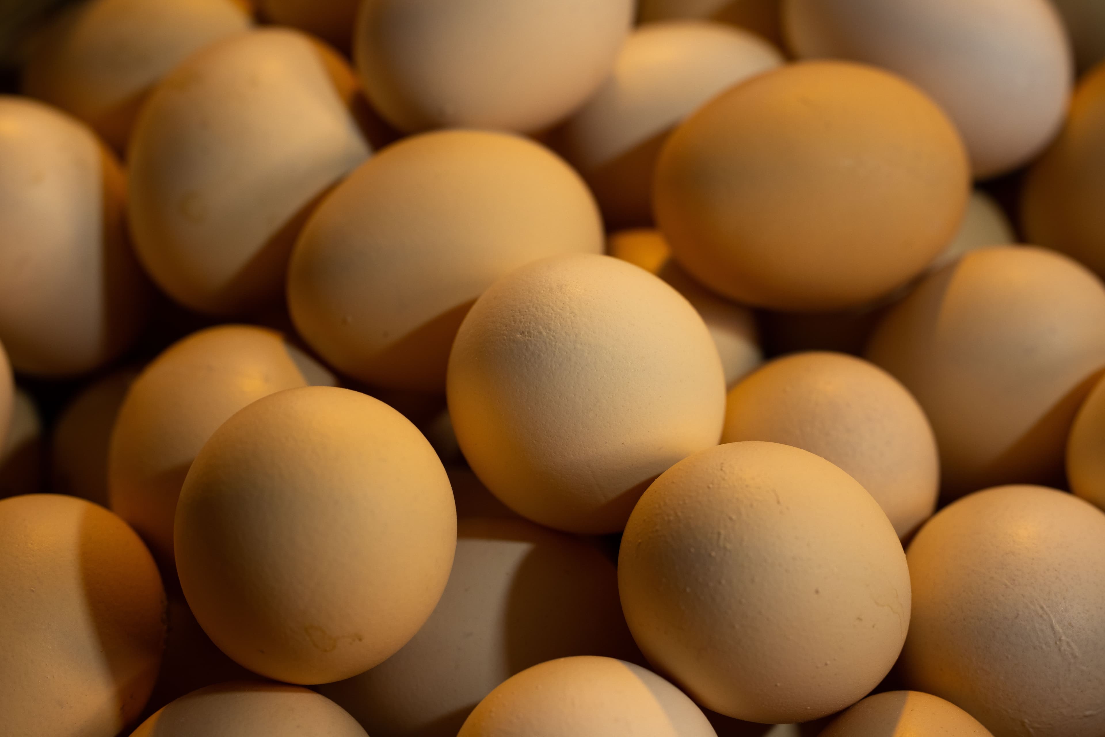 Huevos